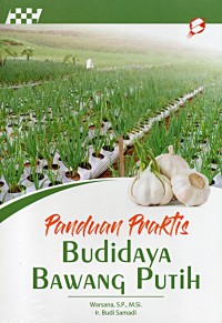 Panduan Praktis Budidaya Bawang Putih